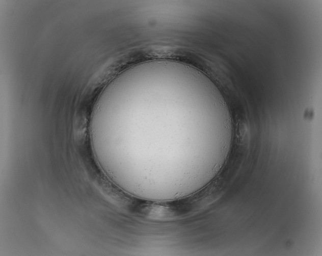 X0000110670507200906261300