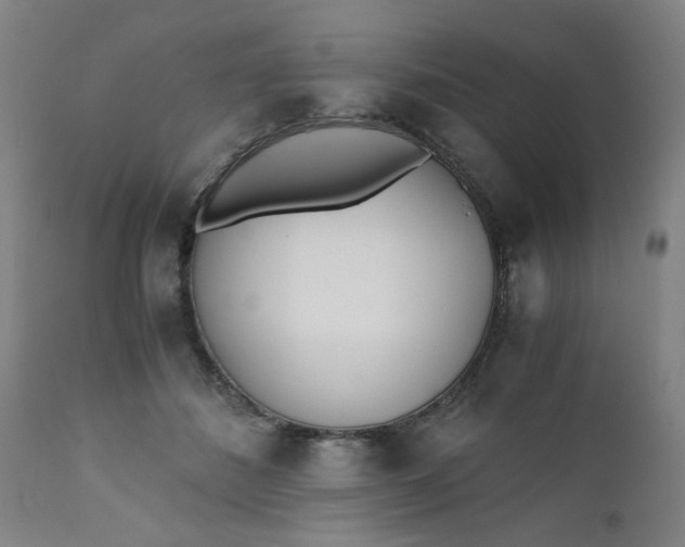 X0000110670508200906261300