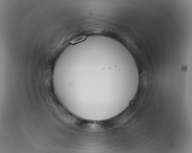 X0000110670509200906261300