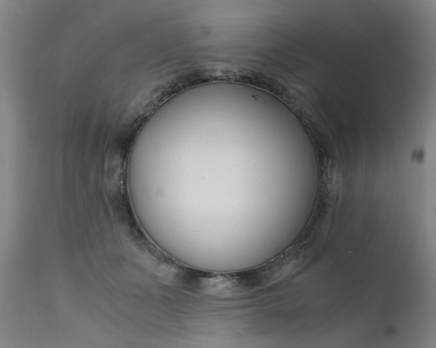 X0000110670511200906261300