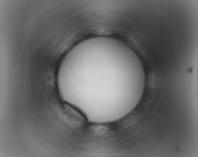 X0000110670512200906261300