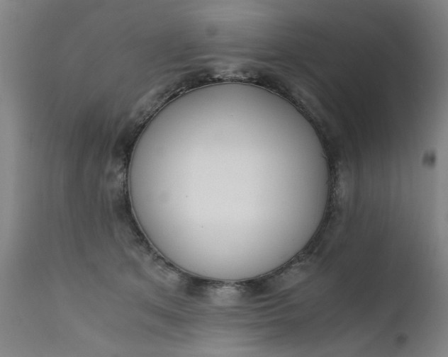 X0000110670513200906261300
