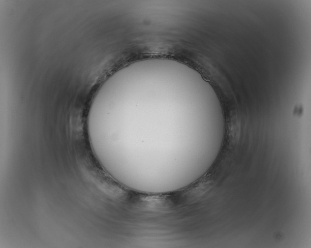 X0000110670516200906261300