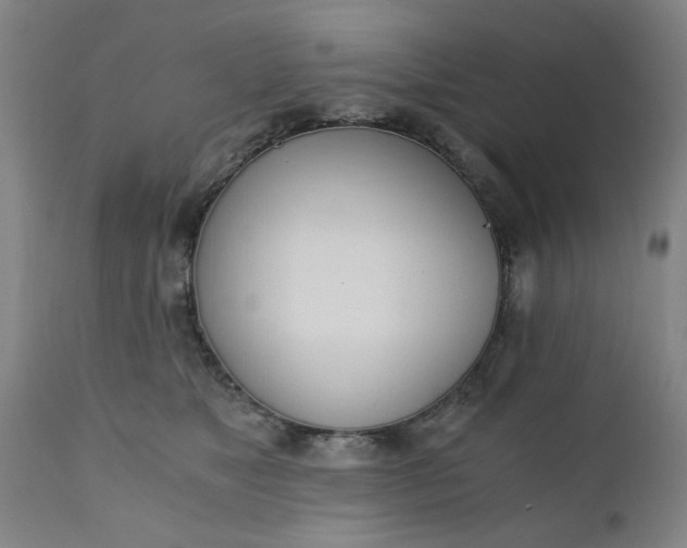 X0000110670517200906261300