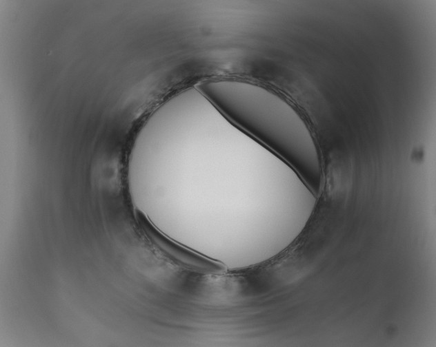 X0000110670520200906261300