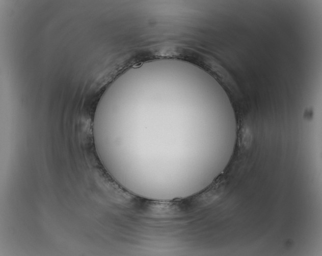 X0000110670521200906261300