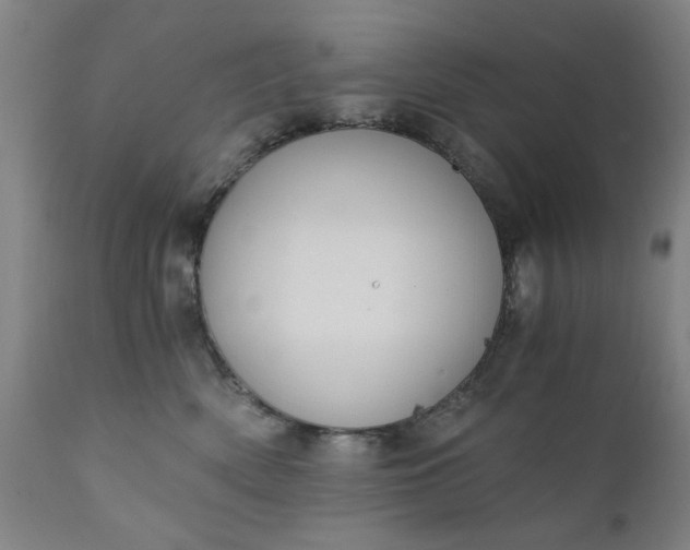 X0000110670522200906261300