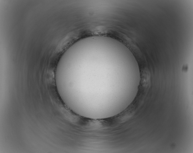 X0000110670523200906261300