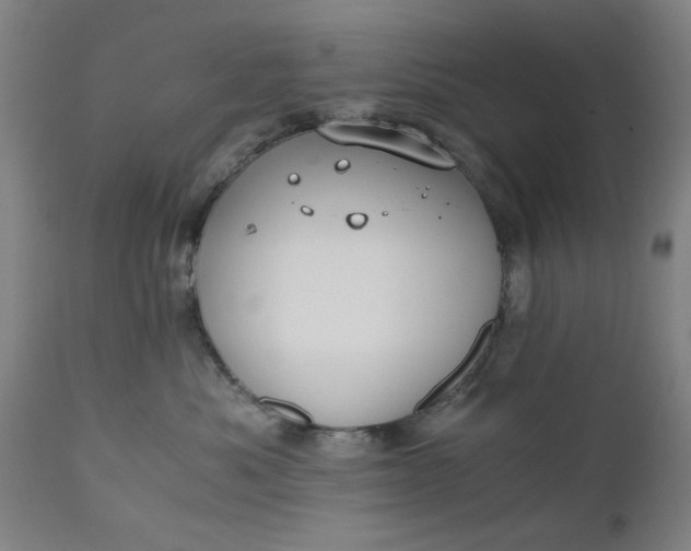 X0000110670525200906261300