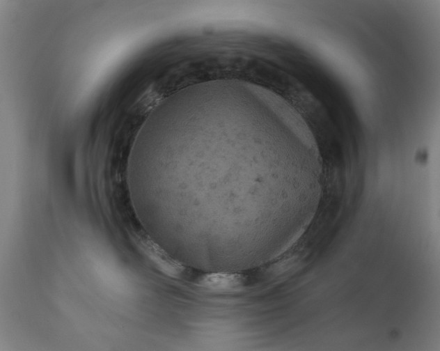 X0000110670526200906261300