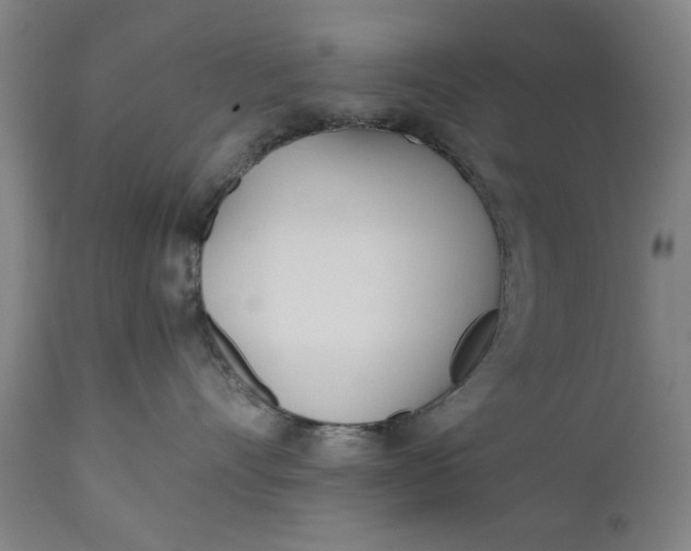 X0000110670528200906261300
