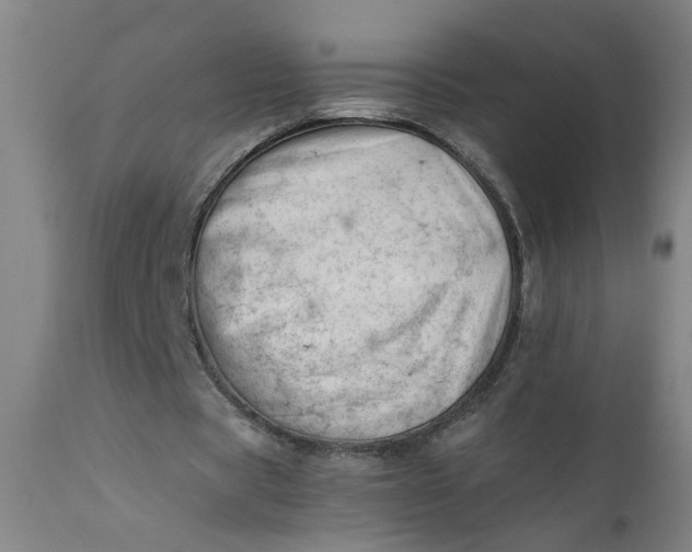 X0000110670529200906261259