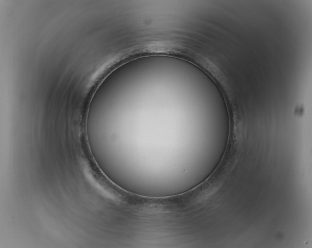 X0000110670530200906261259