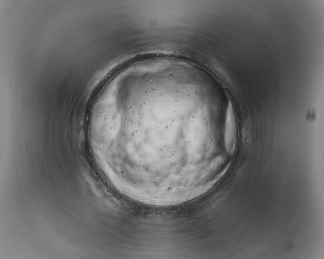 X0000110670532200906261259