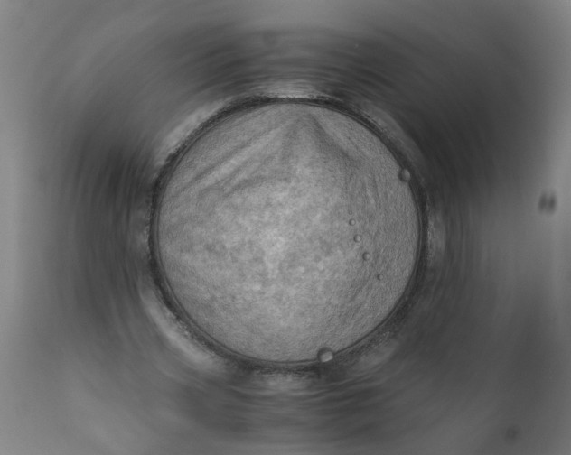 X0000110670533200906261259