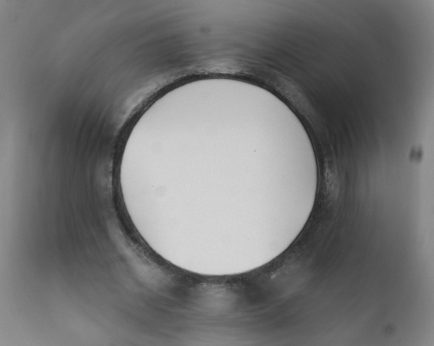 X0000110670534200906261259
