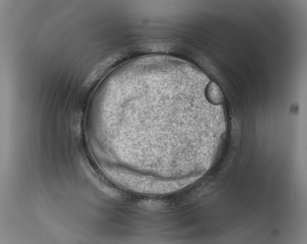 X0000110670537200906261259
