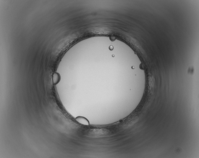 X0000110670541200906261259