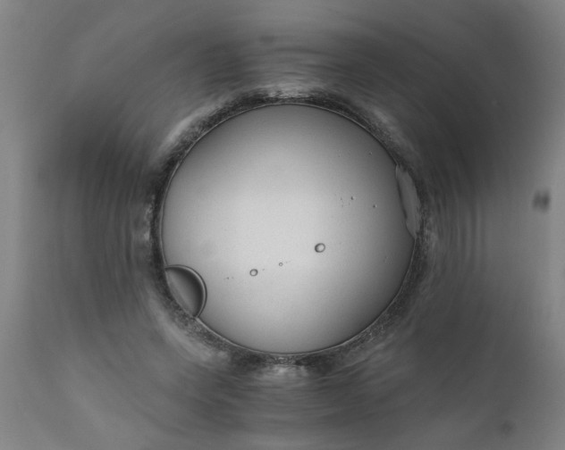 X0000110670543200906261259