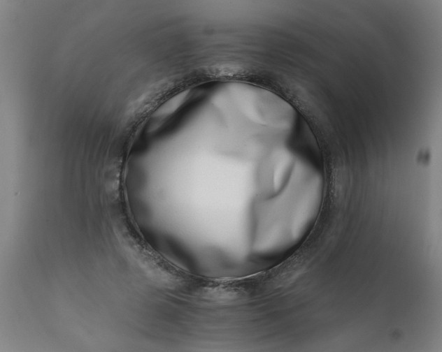 X0000110670545200906261259