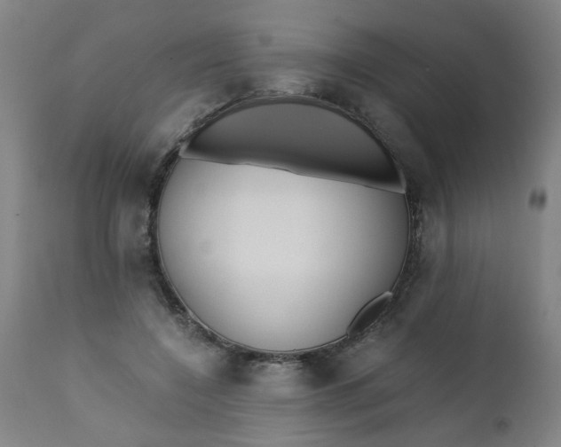 X0000110670548200906261259