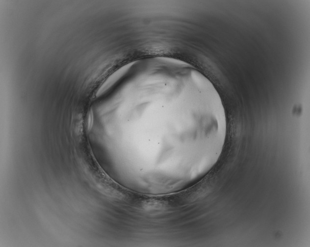 X0000110670549200906261259