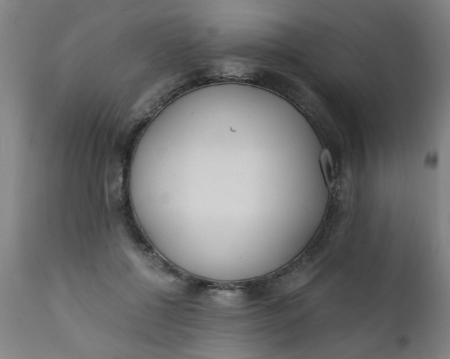 X0000110670552200906261259