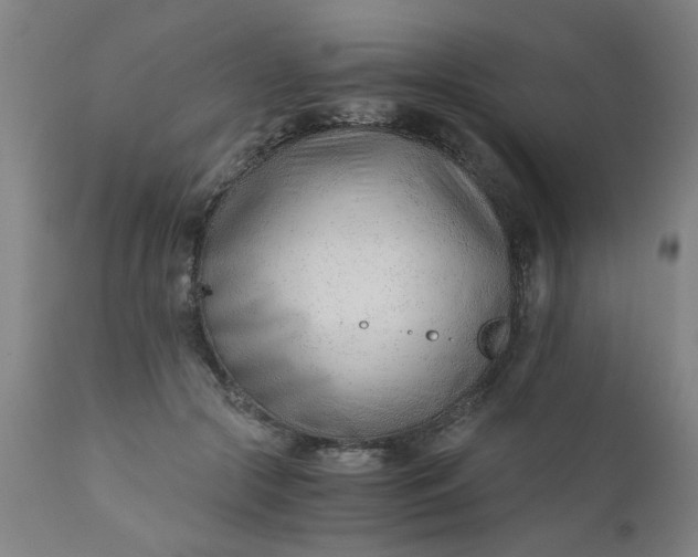 X0000110670553200906261259