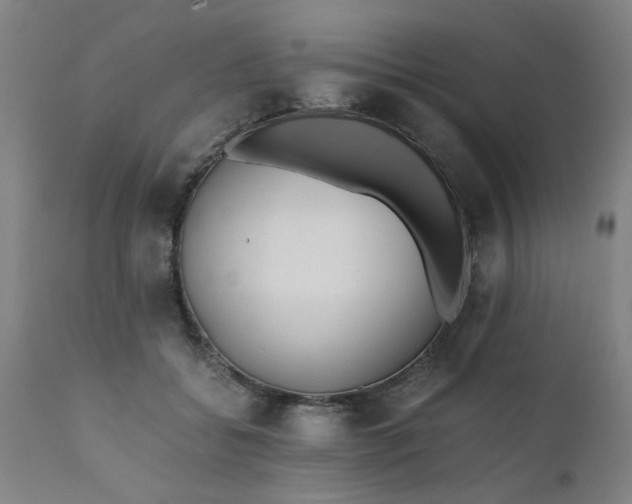 X0000110670556200906261259