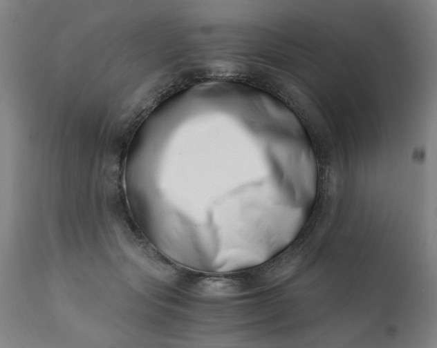 X0000110670557200906261300