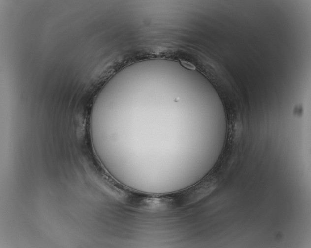 X0000110670558200906261300