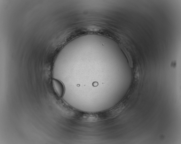 X0000110670559200906261300