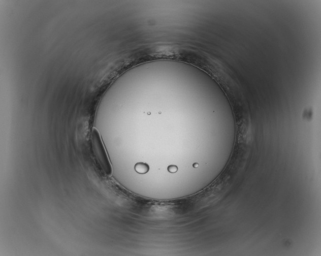 X0000110670560200906261300