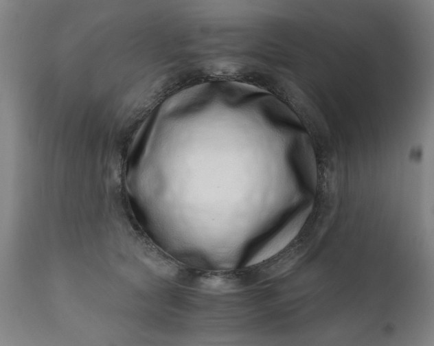 X0000110670561200906261300
