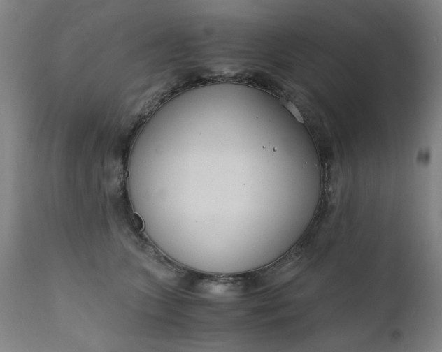 X0000110670563200906261300