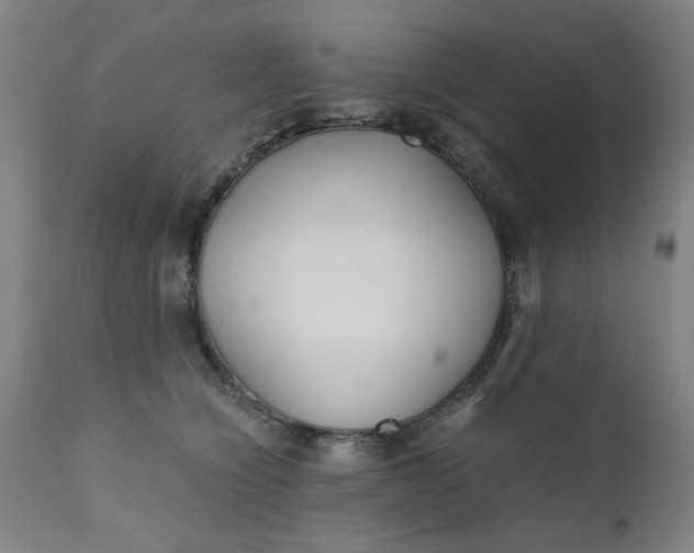 X0000110670564200906261300