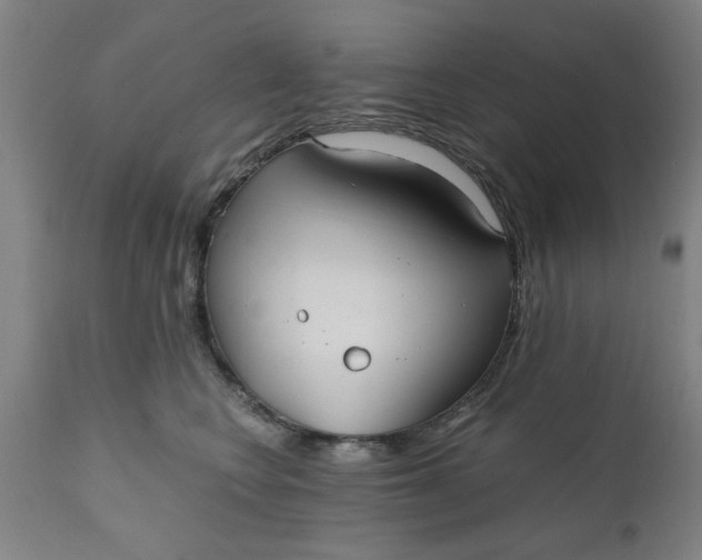 X0000110670566200906261300