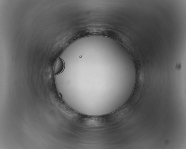 X0000110670567200906261300