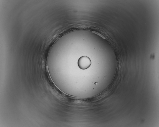 X0000110670568200906261300