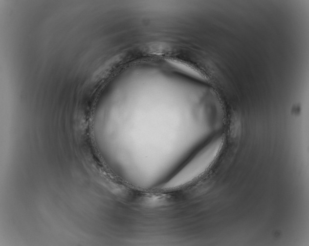 X0000110670569200906261300
