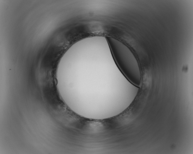 X0000110670572200906261300