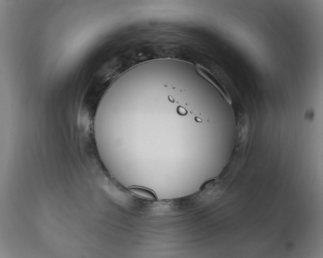 X0000110670574200906261300