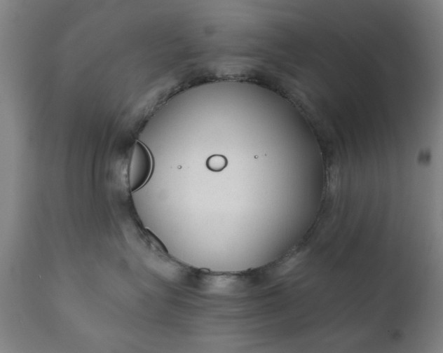 X0000110670575200906261300