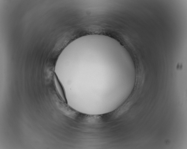 X0000110670576200906261300