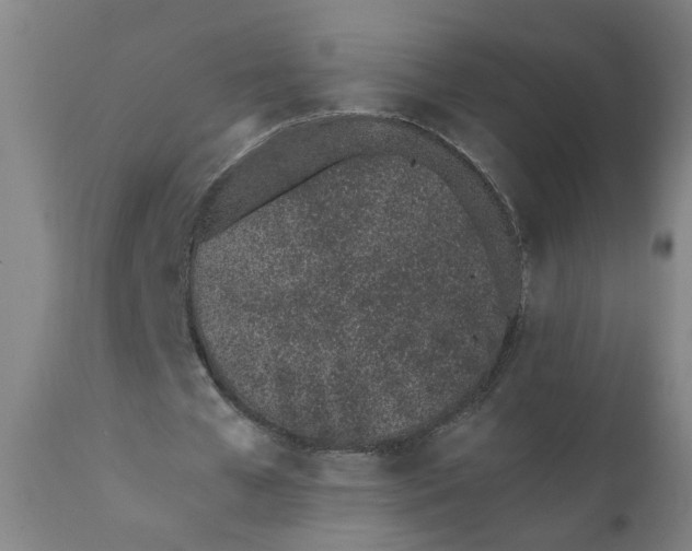 X0000110670577200906261259