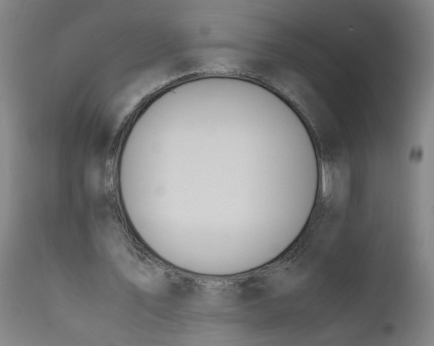 X0000110670579200906261259