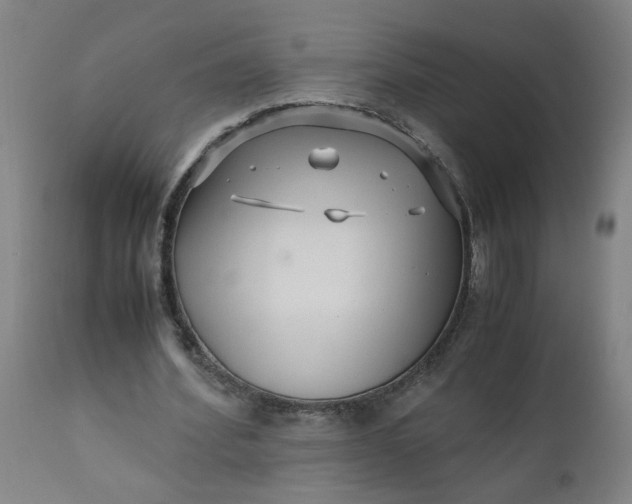 X0000110670580200906261259