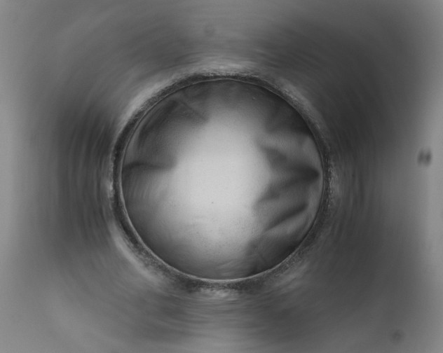 X0000110670582200906261259
