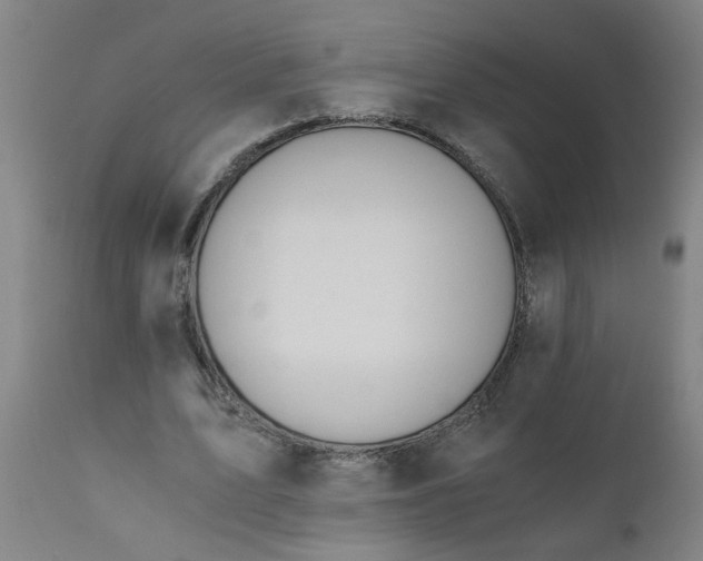 X0000110670583200906261259