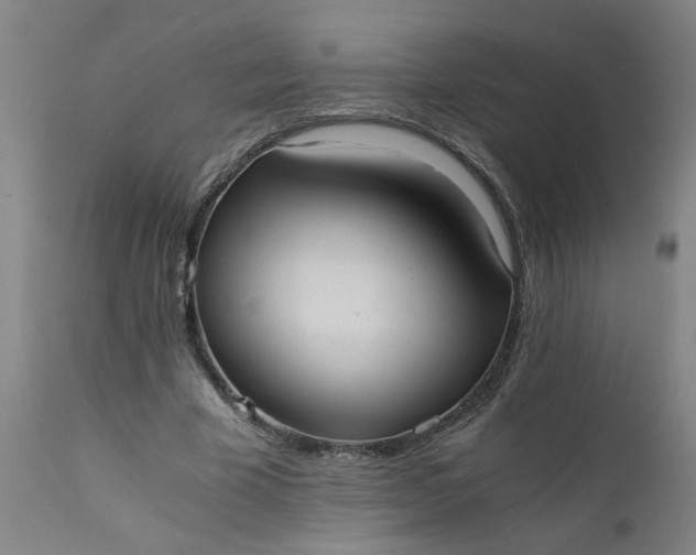 X0000110670585200906261259